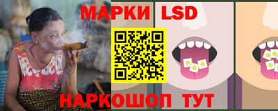 дмт Ставрополь
