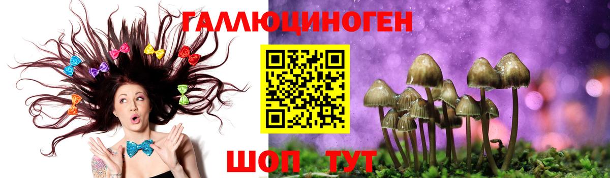 Урус-Мартан  Галлюциногенные грибы GOLDEN TEACHER  Вход с VPN 